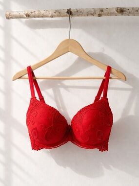 La Vi En Rose Red embroidered Lace Bra 36A